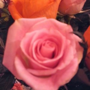 Meet your Posher, Marie